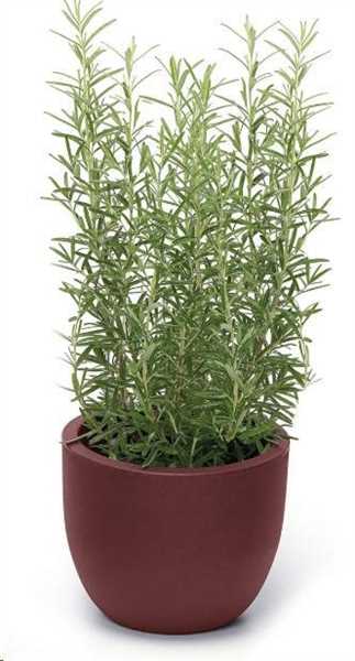 VASO ETRIA UNO MATERIKA PLASTICA RIC. CM.D24XH.20 LAVA