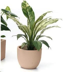 VASO ETRIA UNO MATERIKA PLASTICA RIC. CM.D24XH.20 PIETRA