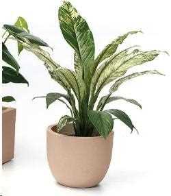 VASO ETRIA UNO MATERIKA PLASTICA RIC. CM.D24XH.20 PIETRA