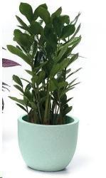 VASO ETRIA UNO MATERIKA PLASTICA RIC. CM.D24XH.20 MAREA