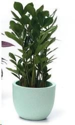 VASO ETRIA UNO MATERIKA PLASTICA RIC. CM.D24XH.20 MAREA