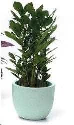 VASO ETRIA UNO MATERIKA PLASTICA RIC. CM.D24XH.20 MAREA