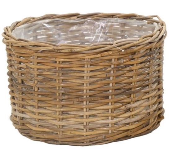 PORTAVASO LYNN D.39X24