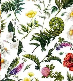 TOVAGLIA METR.COTONE/POLIESTERE FOGLIE VERDI/FIORI H138CM