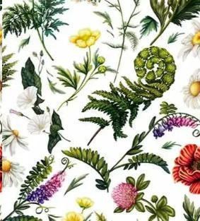 TOVAGLIA METR.COTONE/POLIESTERE FOGLIE VERDI/FIORI H138CM