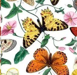 TOVAGLIA METR.COTONE/POLIESTERE DIGITAL FARFALLE H.138CM