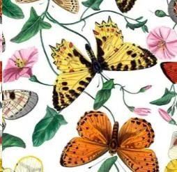 TOVAGLIA METR.COTONE/POLIESTERE DIGITAL FARFALLE H.138CM