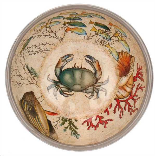 SEA LIFE CIOTOLA 15CM IN MELAMINA