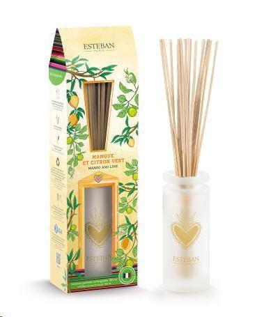 BOUQUET PROFUMATO 100ML RICARICABILE MANGUE ET CITRON