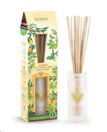 BOUQUET PROFUMATO 100ML RICARICABILE MANGUE ET CITRON