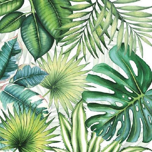 CONF.20 TOVAGLIOLI BIANCO C/FOGLIE TROPICALI CM33X33