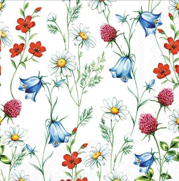 CONF.20 TOVAGLIOLI FIORI SELVATICI CM33X33