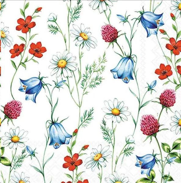 CONF.20 TOVAGLIOLI FIORI SELVATICI CM33X33
