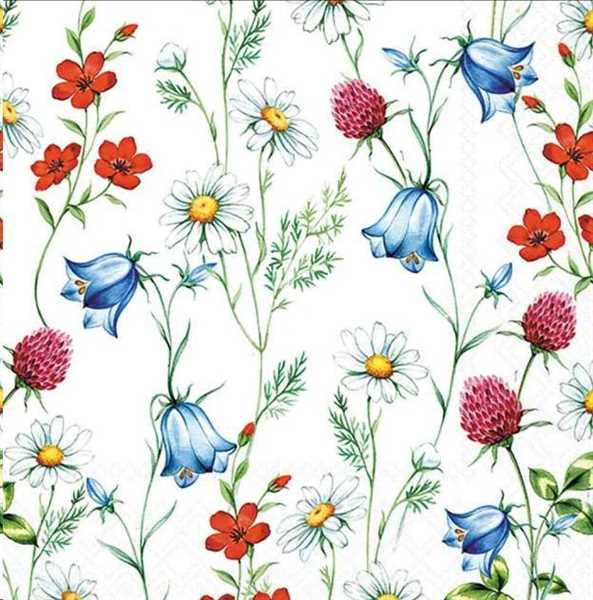 CONF.20 TOVAGLIOLI FIORI SELVATICI CM33X33
