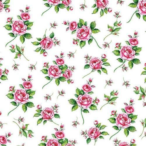 CONF.20 TOVAGLIOLI CM.25X25 EVELYN WHITE