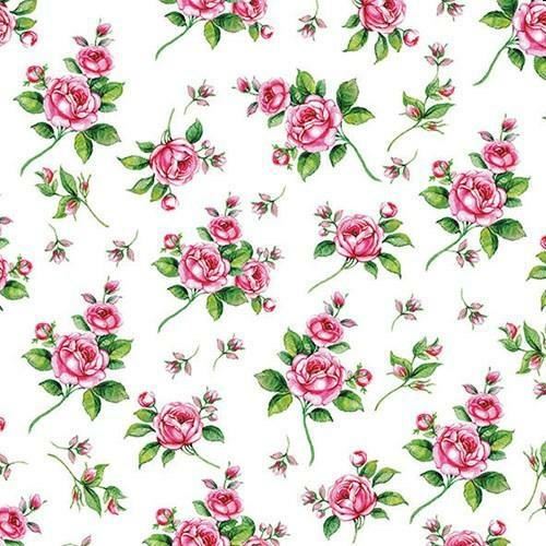 CONF.20 TOVAGLIOLI CM.25X25 EVELYN WHITE