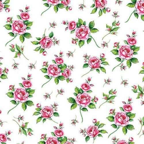 CONF.20 TOVAGLIOLI CM.25X25 EVELYN WHITE