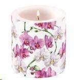 CANDELA PICCOLA ELEGANT ORCHIDS WHITE CM.D.7,5 H.9