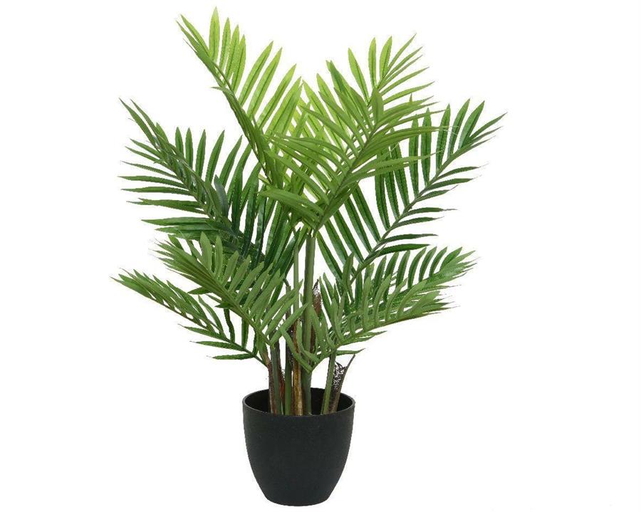 PALMA VERDE IN POLIMERI IN VASO DIA.61XH.73CM