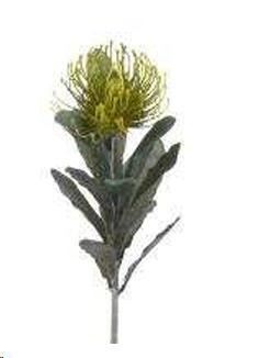 PROTEA 14X67 CM GREEN POLIMERI