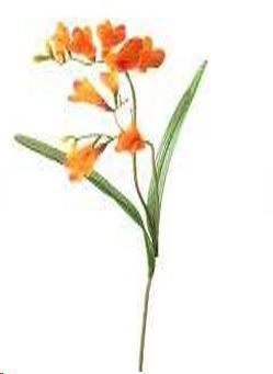 FRESIA 69 CM ORANGE  POLIMERI