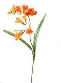 FRESIA 69 CM ORANGE  POLIMERI