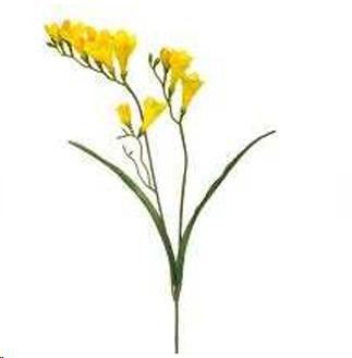 FRESIA  69 CM YELLOW POLIMERI