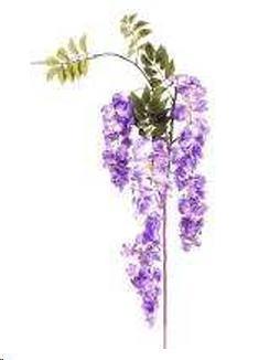 GLICINE 103 CM LAVANDER POLIMERI