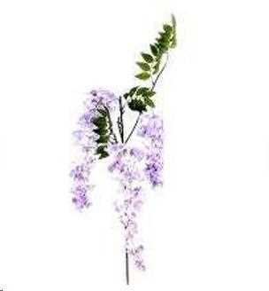 GLICINE 103 CM LILAC POLIMERI