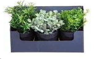 MINI AROMATICHE SET 3 PEZZI 20 CM POLIMERI
