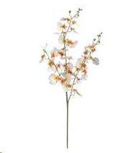ORCHIDEA BALLERINA 95 CM CREAM POLIMERI