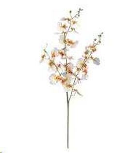 ORCHIDEA BALLERINA 95 CM CREAM POLIMERI