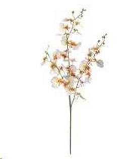 ORCHIDEA BALLERINA 95 CM CREAM POLIMERI