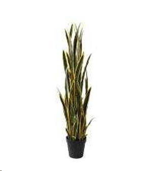SANSEVIERIA 148 CM C/VASO YEL/GREEN POLIMERI
