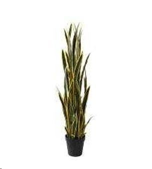 SANSEVIERIA 148 CM C/VASO YEL/GREEN POLIMERI