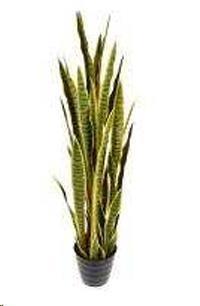 SANSEVERIA 120 CM C/VASO YELLOW GREEN POLIMERI