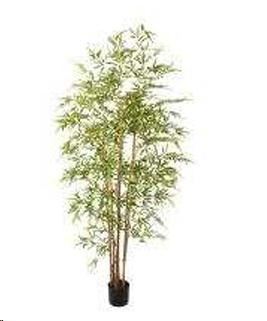 BAMBOO 210 CM  C/VASO GREEN POLIMERI