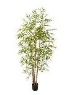 BAMBOO 210 CM  C/VASO GREEN POLIMERI