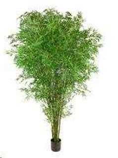 BAMBOO 240 CM C/VASO GREEN POLIMERI