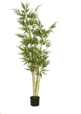 BAMBOO POLIETILENE IN VASO PE 55X80XH.150cm