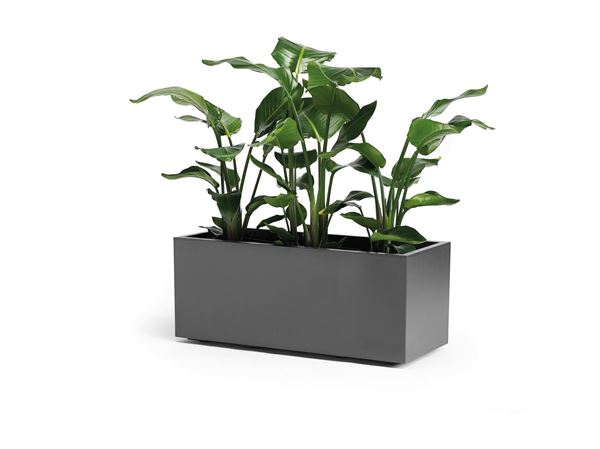 CASSETTA DA ESTERNOCON RUOTE KEBE ANTRACITE CM.100X40X40H