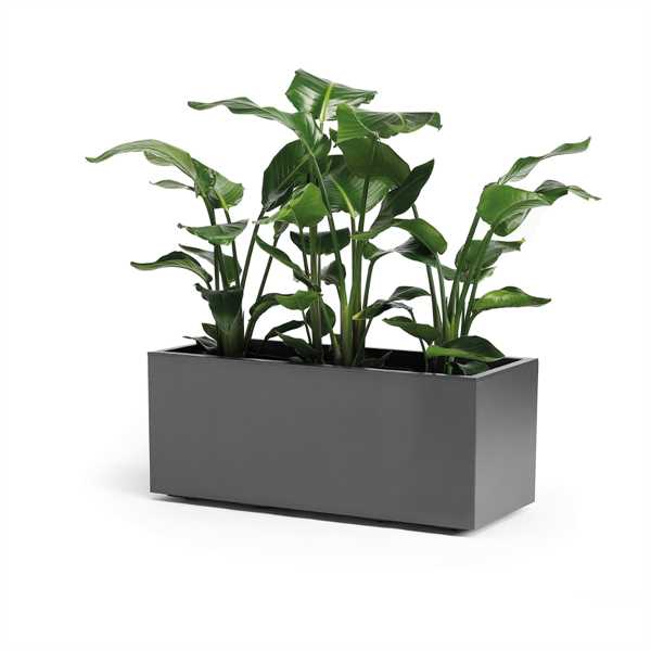 CASSETTA DA ESTERNOCON RUOTE KEBE ANTRACITE CM.100X40X40H