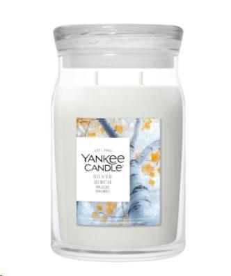 SIGNATURE GIARA GRANDE SILVER BIRCH