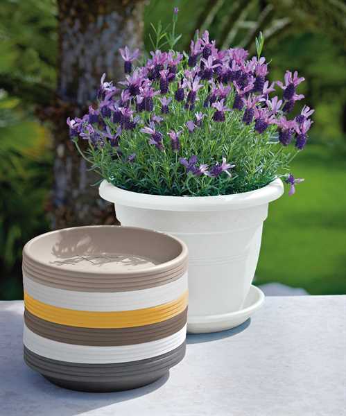 SOTTOVASO TONDO TORTORA MEDEA Ø52XH6.7 CM IN RESINA