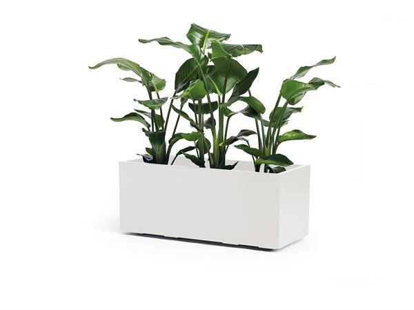CASSETTA DA ESTERNOCON RUOTE KEBE BIANCO CM.100x40x40H