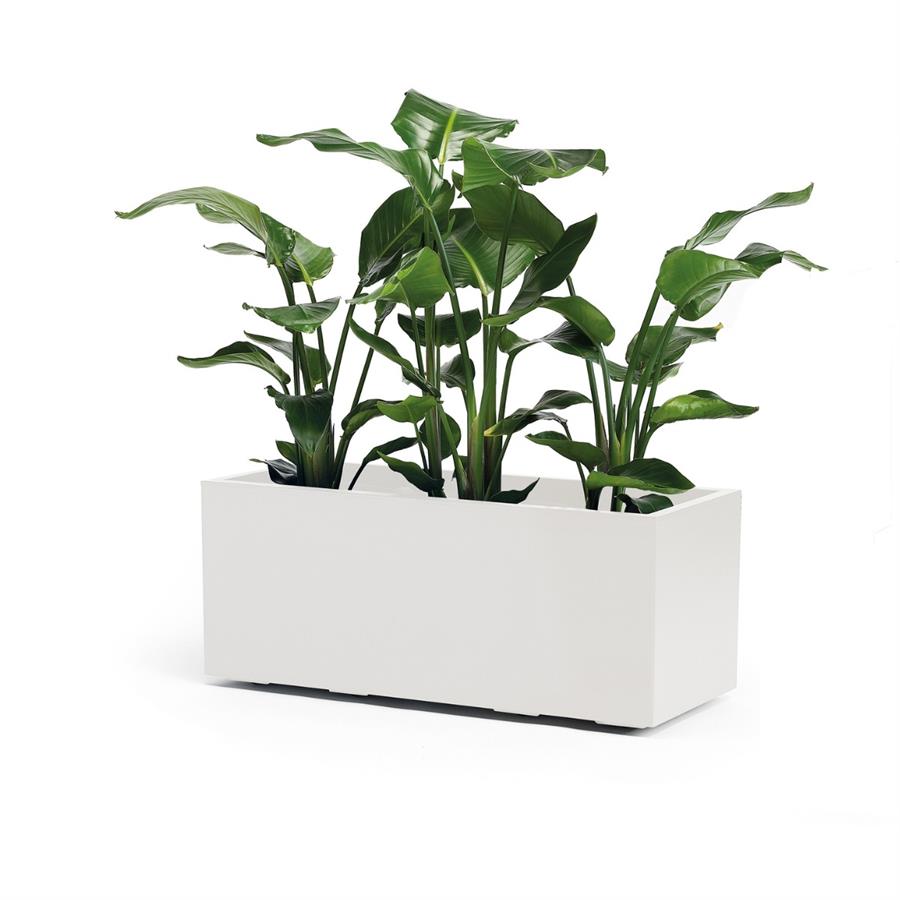 CASSETTA DA ESTERNOCON RUOTE KEBE BIANCO CM.100x40x40H