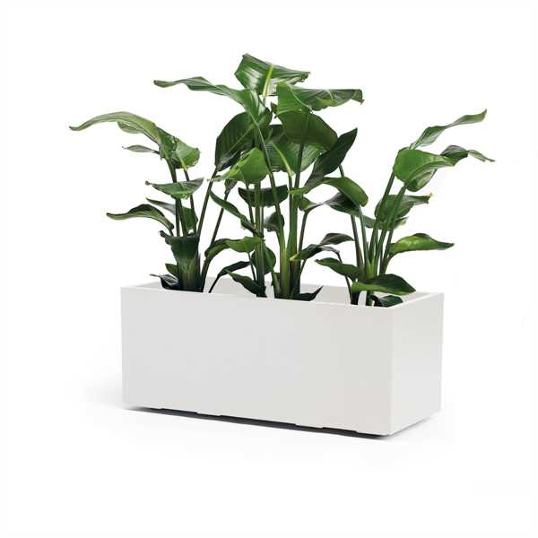 CASSETTA DA ESTERNOCON RUOTE KEBE BIANCO CM.100x40x40H