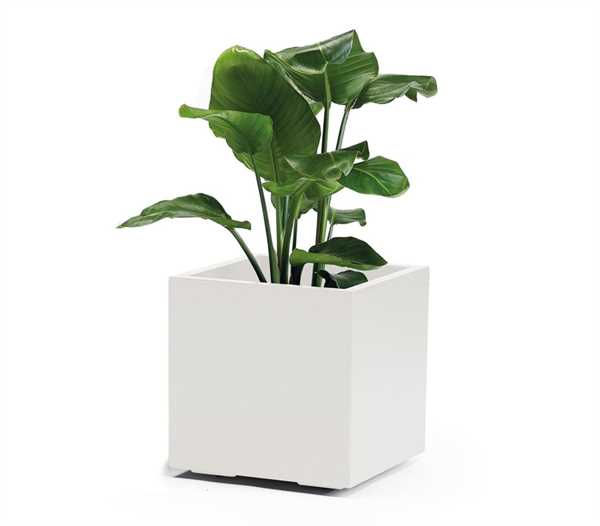 VASO CON RUOTE DA ESTERNO KEBE BIANCO CM.40x40x40H