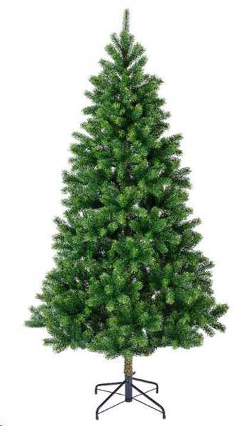ALBERO NATALE PE KENMORE FIR Ø120X H.210CM