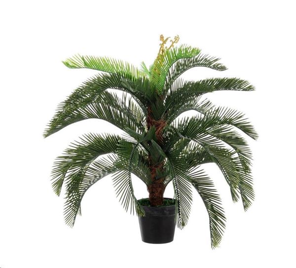 PIANTA PALMA CYCAS C-VASO 30FOGLIE 80x80x100h PLAST/METALLO